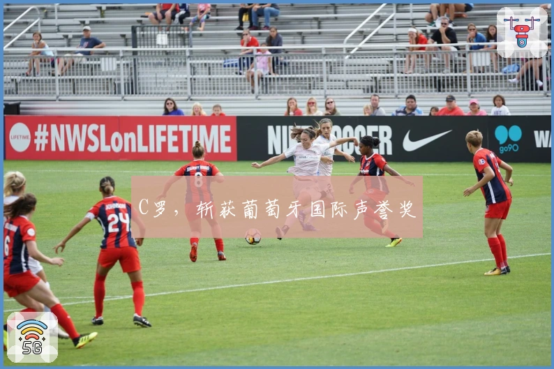 C罗，斩获葡萄牙国际声誉奖