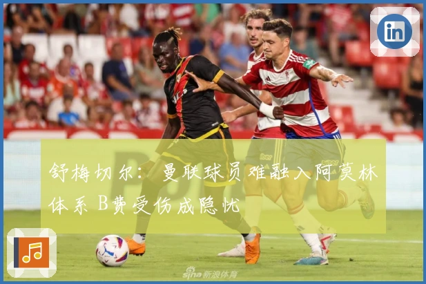 舒梅切尔：曼联球员难融入阿莫林体系 B费受伤成隐忧