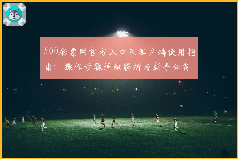 500彩票网官方入口及客户端使用指南：操作步骤详细解析与新手必备技巧分享