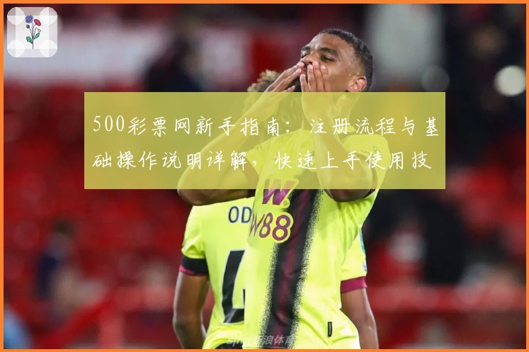 500彩票网新手指南：注册流程与基础操作说明详解，快速上手使用技巧分享